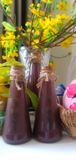  Sữa gạo lứt TƯƠI iOrganic 