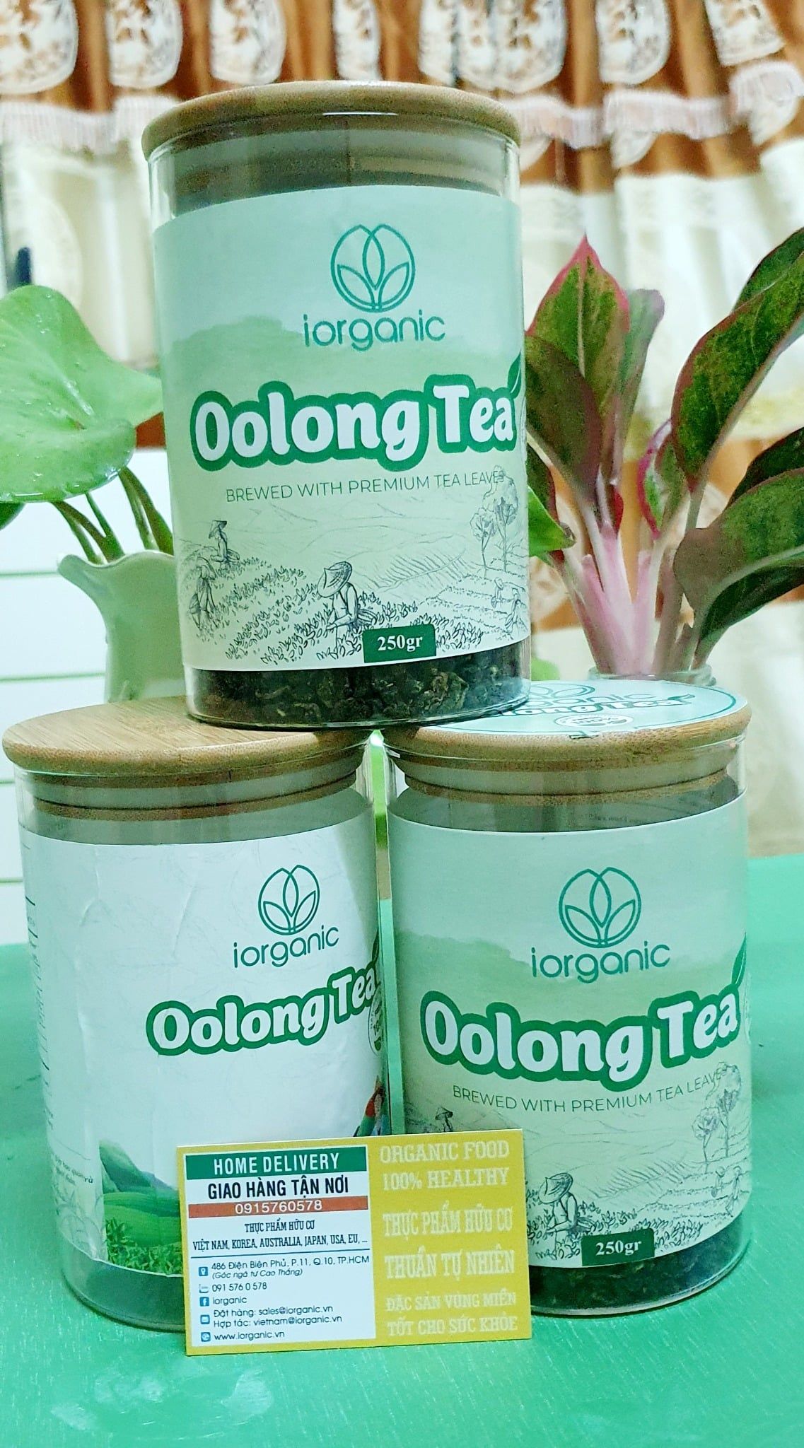  Trà Oolong 
