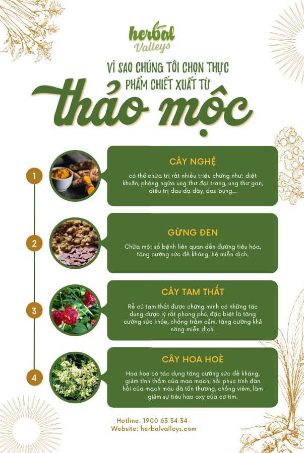  Tinh bột nghệ ăn liền HERBAL VALLEYS nguyên chất 100% tự nhiên hộp 10 gói 