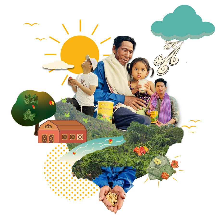  Sữa bột Hạt điều Vị Đậu đen 