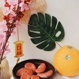  BƯỞI ECOVI HÀ PHONG 