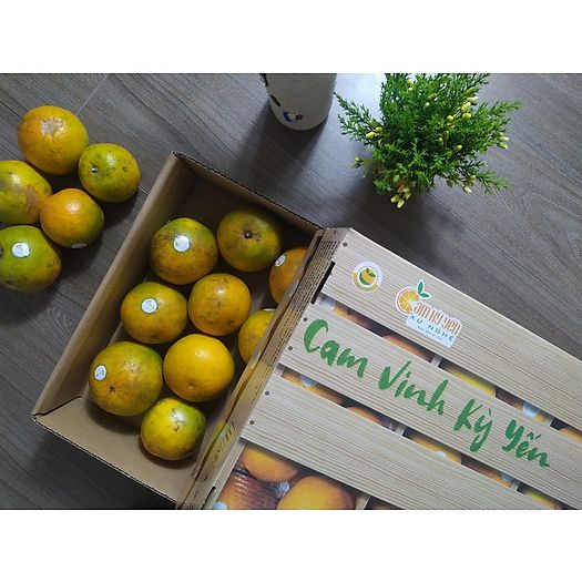  HỘP QUÀ CAM VINH KỲ YẾN 