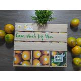  HỘP QUÀ CAM VINH KỲ YẾN 