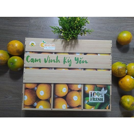  HỘP QUÀ CAM VINH KỲ YẾN 
