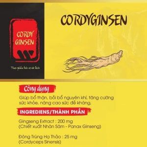  Cordyginsen 