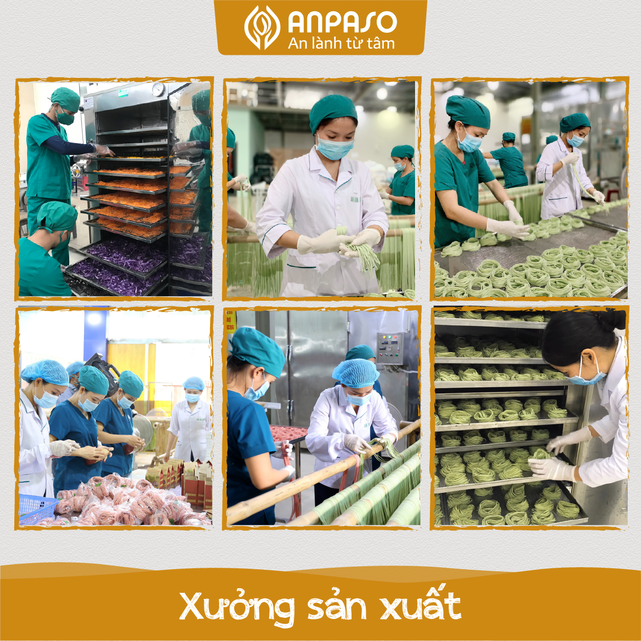  Mì củ nghệ hữu cơ Anpaso 300G 