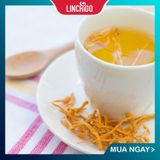  ĐÔNG TRÙNG HẠ THẢO SINH KHỐI hộp 10g 