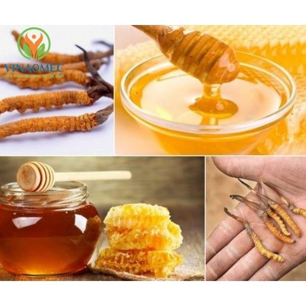  ĐÔNG TRÙNG HẠ THẢO 