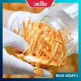  ĐÔNG TRÙNG HẠ THẢO SINH KHỐI hộp 10g 