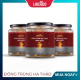  ĐÔNG TRÙNG HẠ THẢO SINH KHỐI hộp 10g 
