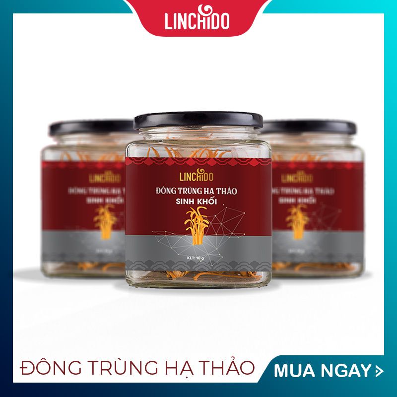  ĐÔNG TRÙNG HẠ THẢO SINH KHỐI hộp 10g 