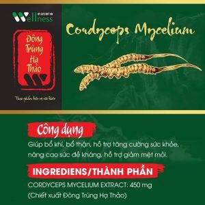  Đông Trùng Hạ Thảo 