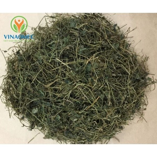  TRÀ GIẢO CỔ LAM 