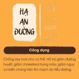  Hạ An Đường 