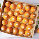  HỘP QUÀ CAM VINH KỲ YẾN 