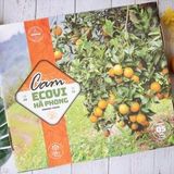  HỘP QUÀ CAM ECOVI HÀ PHONG 