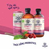  Trà dưỡng sinh Kombucha hữu cơ vị mâm xôi 400ml The GUTsy 