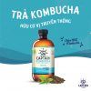  Trà dưỡng sinh Kombucha hữu cơ vị truyền thống 400ml The GUTsy 