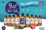  Trà dưỡng sinh Kombocha The Gutsy Captain 