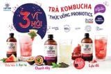  Trà dưỡng sinh Kombocha The Gutsy Captain 