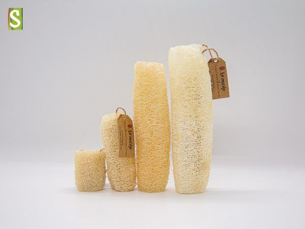  Xơ mướp – Nhà Thơm 