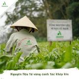  Mì rau củ tươi sây lạnh Cải Kale Ahamisa hộp 240g 