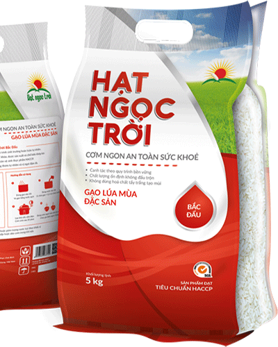  GẠO HẠT NGỌC TRỜI BẮC ĐẨU 