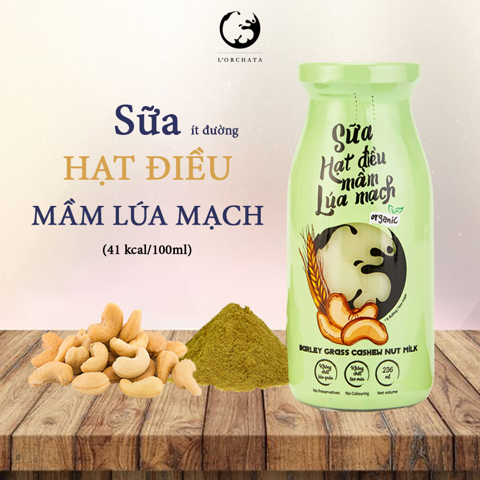  SỮA HẠT ĐIỀU MẦM LÚA MẠCH (01 CHAI 236 ML) 
