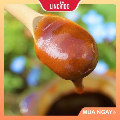  Mật thốt nốt sệt truyền thống PALMANIA Hủ 454 GRAM 