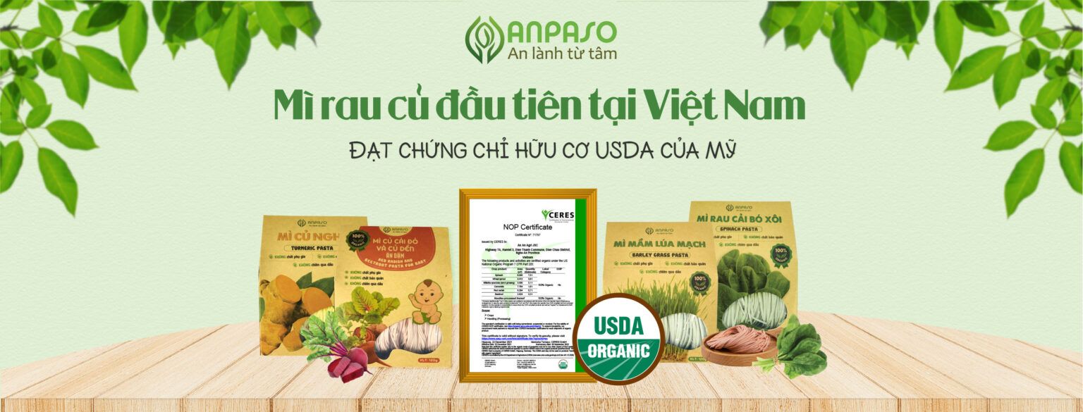 Mì củ nghệ hữu cơ Anpaso 300G 