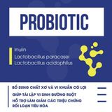  Probiotic 