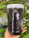  RONG BIỂN SẤY ĐẶC SẢN ĐÀ NẴNG 