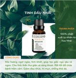 Tinh dầu Hoa Nhài 10ml Ecocare 