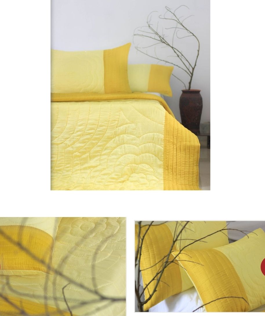  Chăn tơ tằm bo viền 