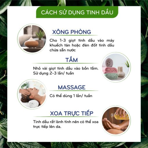 Tinh dầu Bạc Hà 10ml 