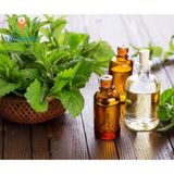  TINH DẦU BẠC HÀ 