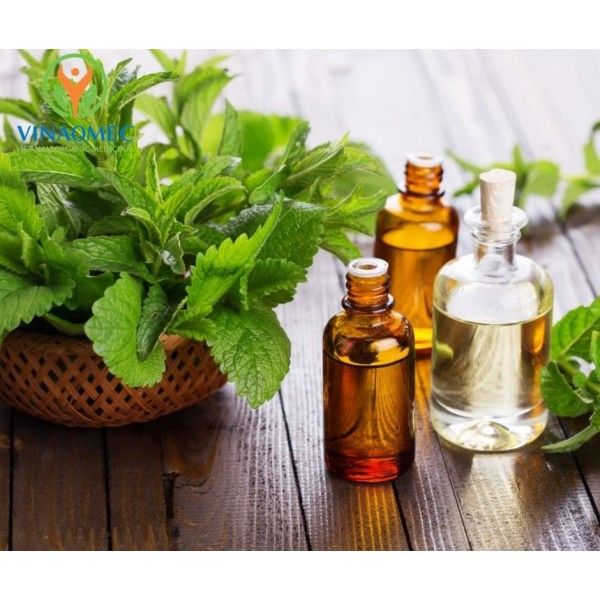  TINH DẦU BẠC HÀ 