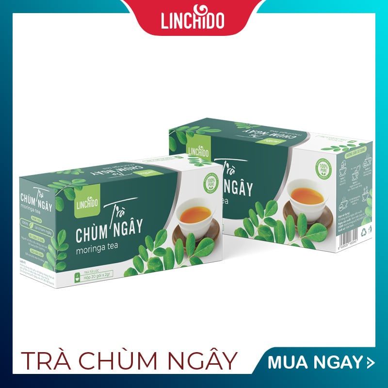  Trà Chùm Ngây Túi Lọc ( Hộp 20 túi ) 