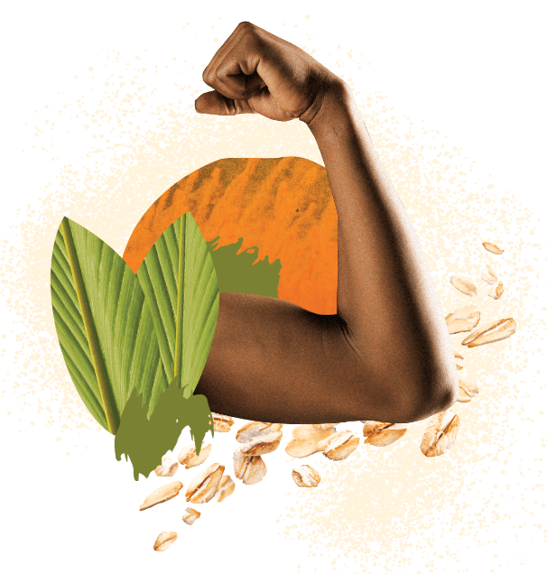  Sữa bột Hạt điều Vị Đậu đen 