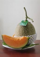 Taki Melon