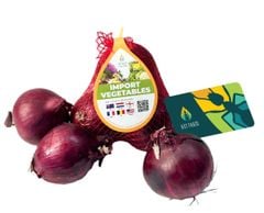 Dutch Red Onions