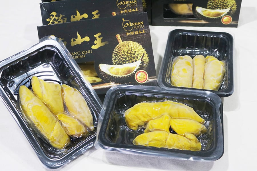 Durian Musang King – Ant Farm