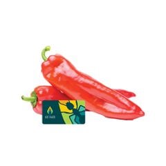 Chili