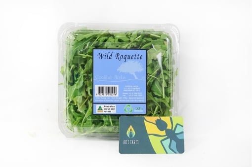 Salad Wild Roquette hộp - Rau xà lách nhập khẩu