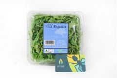 Salad Wild Roquette