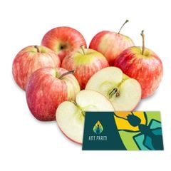 South African Fuji Mini Apple 1.5kg