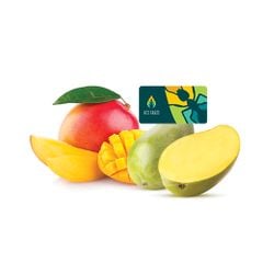 Xoài