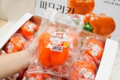 Korean Bell Pepper