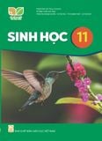  SGK Sinh học 11 - Kết nối tri thức với cuộc sống 