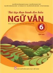  Bài Tập Thực Hành Đọc Hiểu Ngữ Văn 6 Tập 2 